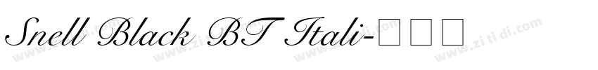 Snell Black BT Itali字体转换
